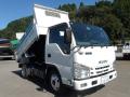中古ダンプ いすゞ エルフ