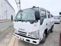 中古特装車その他 いすゞ エルフ